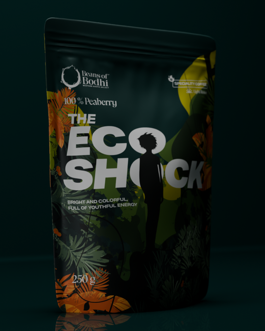 Eco Shock